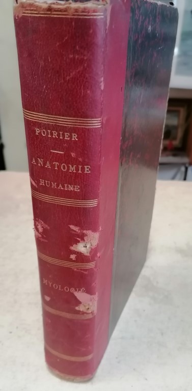 Livre traité de d'anatomie humaine par A. PRENANT en 1912 la Myologie